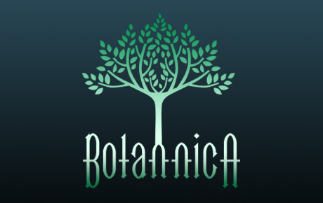 GT3D Animation Studio